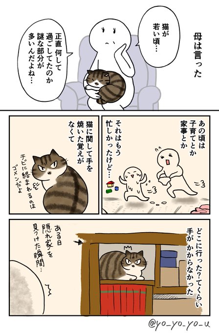 老猫と母