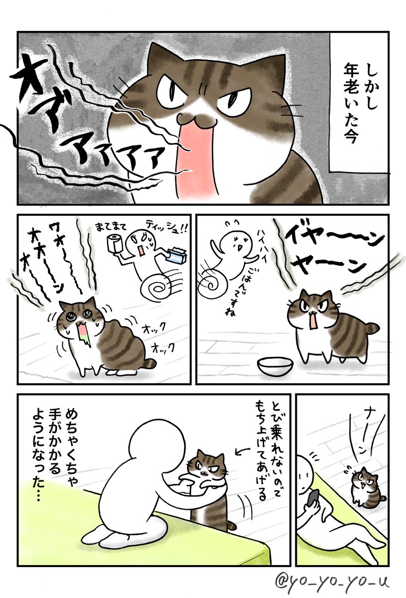 老猫と母