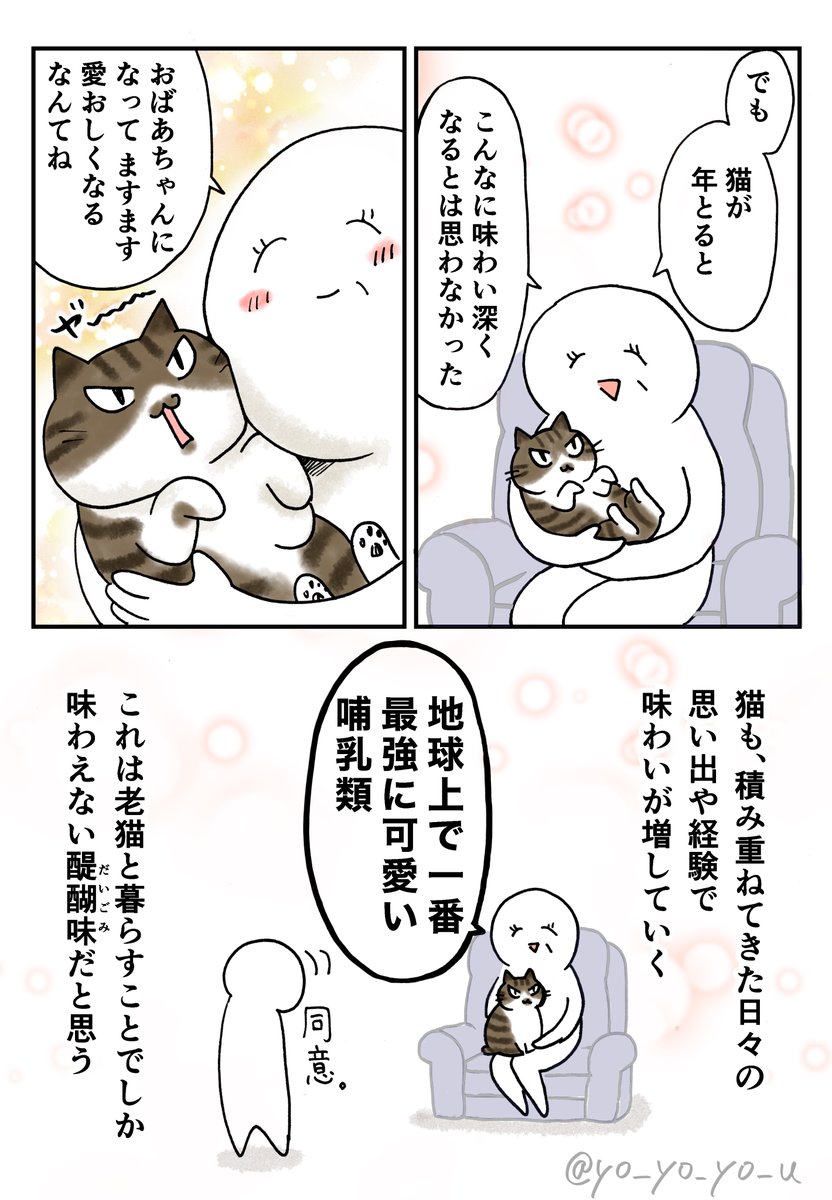 老猫と母