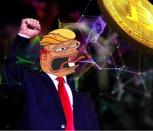scourgeOTC's tweet photo. @Dior100x is it truly elite?

Did you call $trumpe in your tavern? https://t.co/QHydDoxF9l
