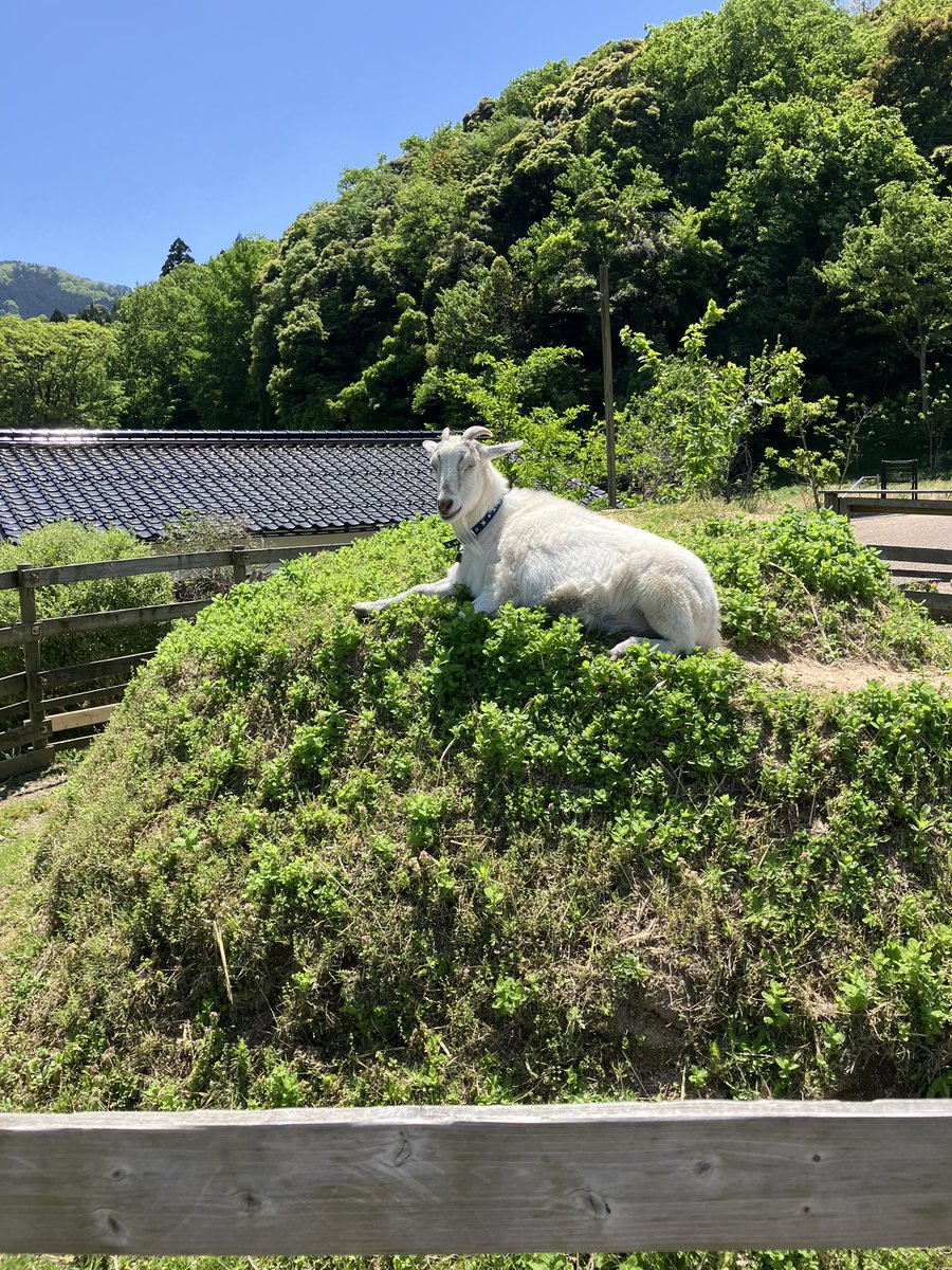 metty8102's tweet photo. 鳥取市方面に向かい、八頭町の大江ノ郷ヴィレッジへ
事前に地図で見たイメージとは違い、まさに大自然の中って感じの雰囲気を感じた https://t.co/ibMUUdNcqD