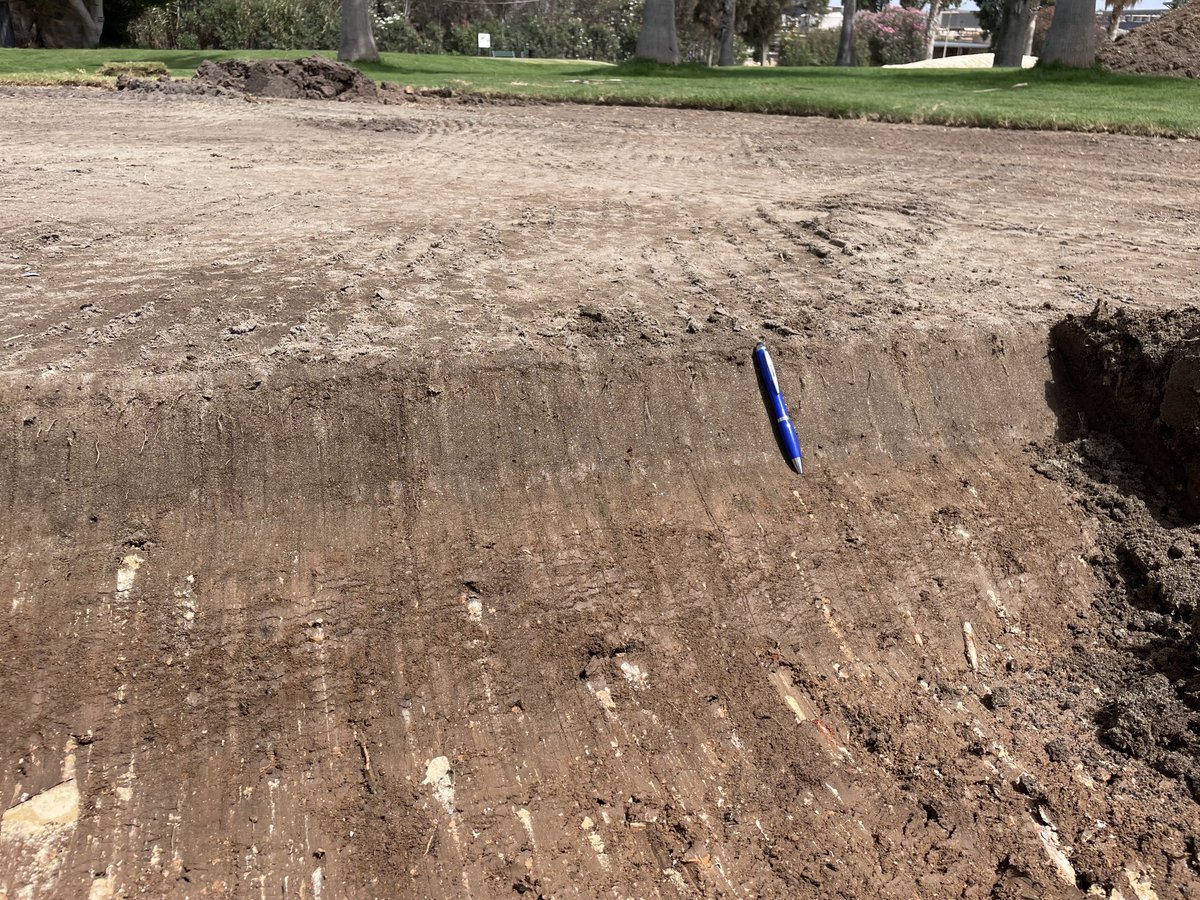 Scott Macpherson tweet media