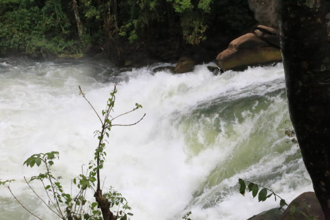 MissTourism_Bug's tweet photo. Have you been at Kalagala falls before...?! @TourBugandaUG
@MissTourism_Bug https://t.co/U0ZGwfRJku