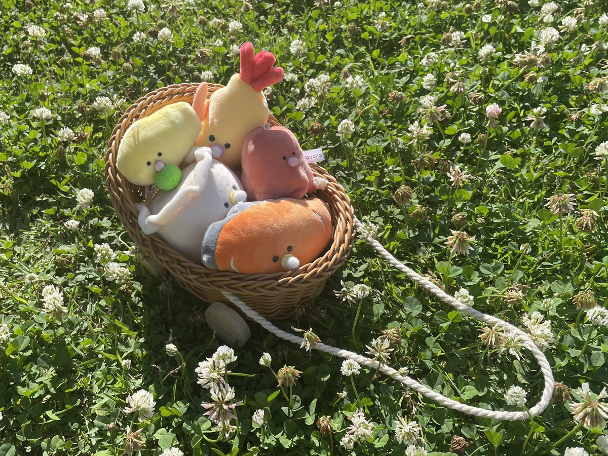 ぬいたちとピクニックたのしすぎ
#つぶ活 #ぬい活
youtu.be/JDxNrHexI5s?si…