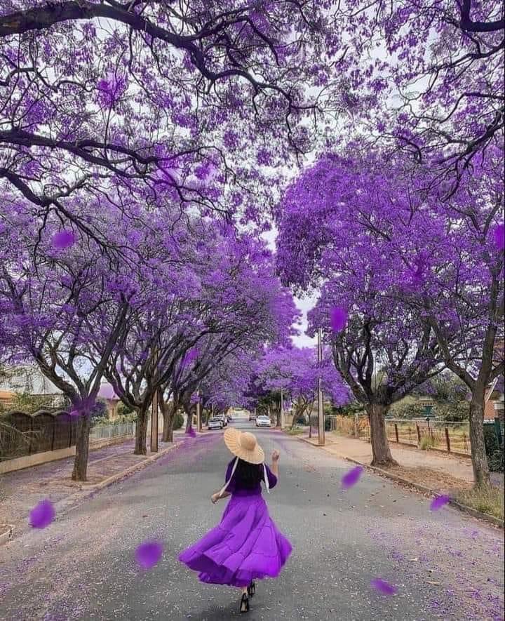 جاور من يحبون الورد، ويجعلون قلبكَ يُزهر
 في كُل مرة🌷