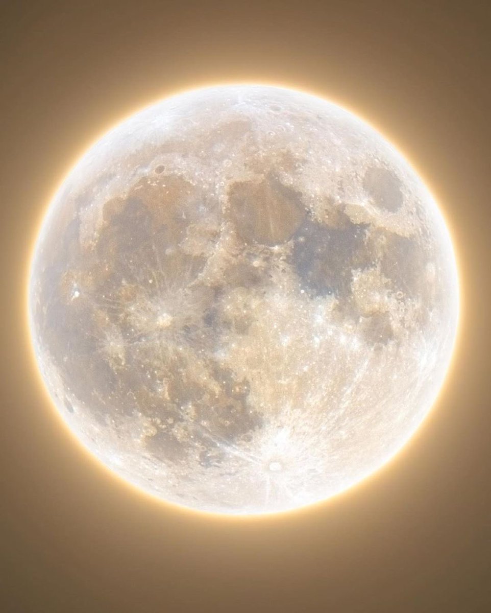moonloverxjpg's tweet photo. amante de la luna https://t.co/9YeUmd4dNl