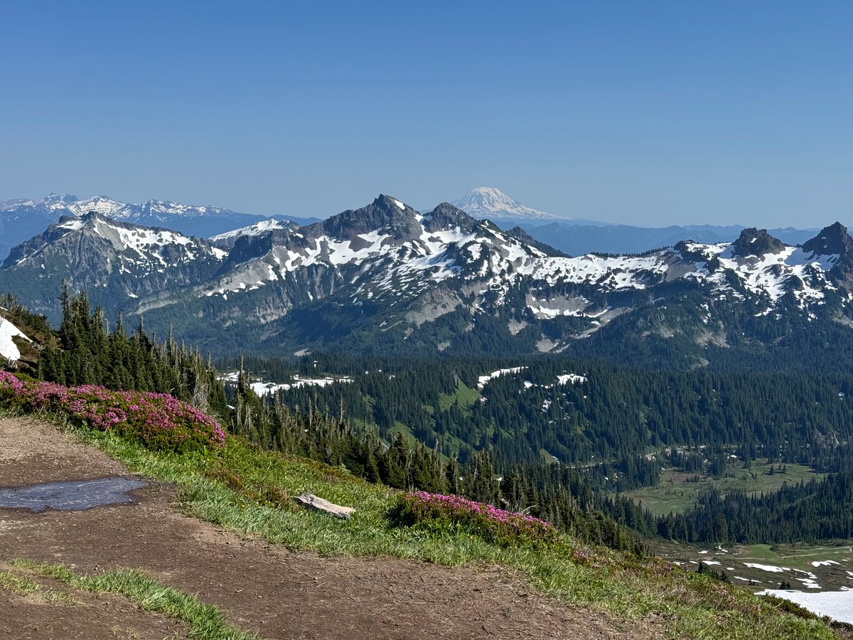 Mt. Rainier is simply spectacular 😍