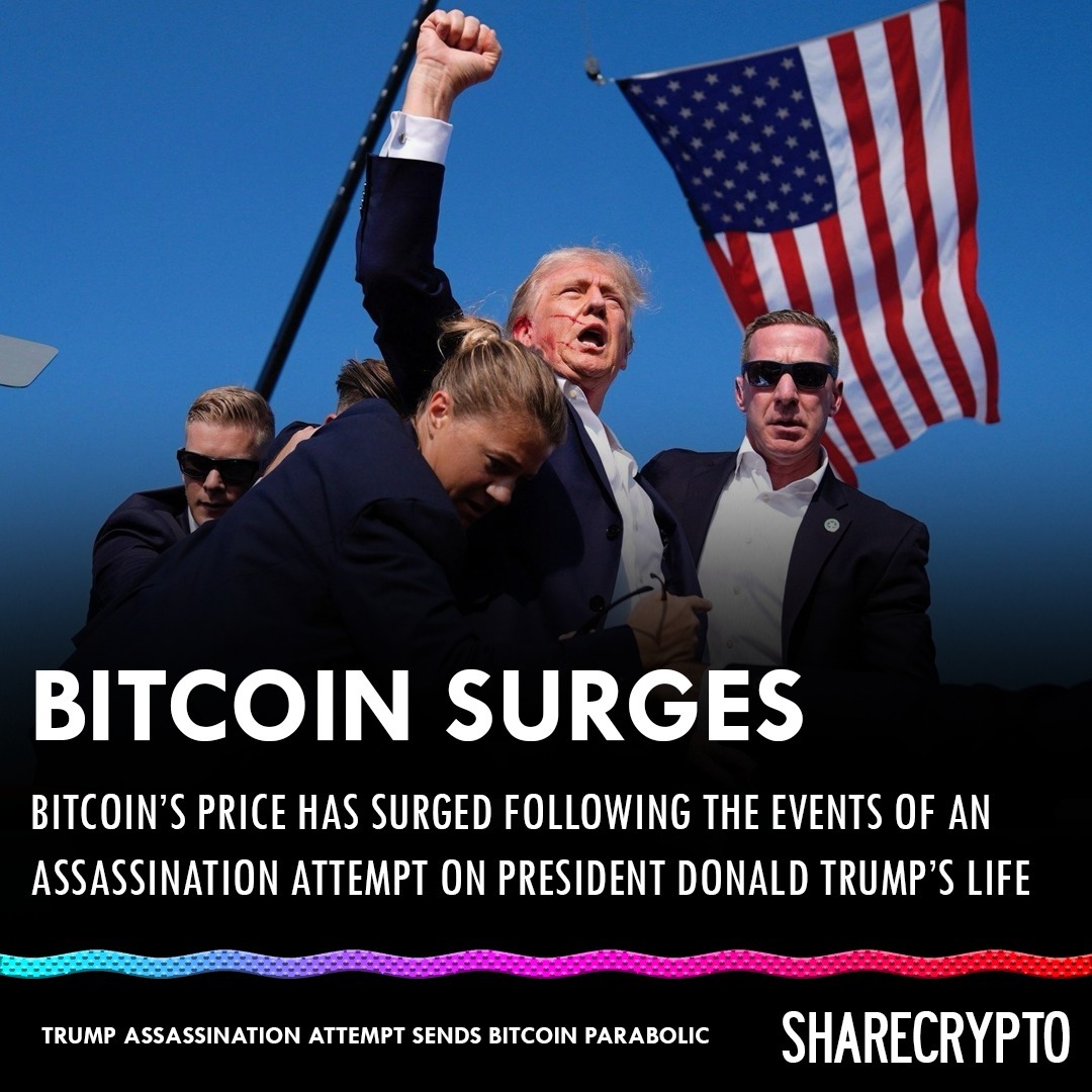 ak74_Best's tweet photo. $MAGA https://t.co/6munjiockq