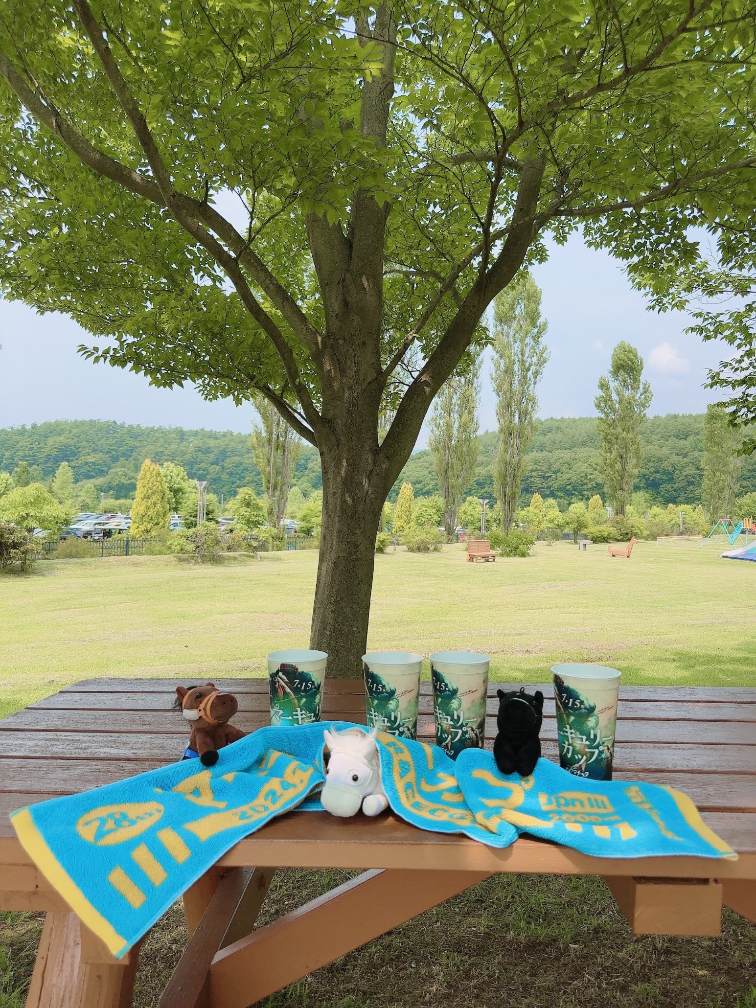 競馬　マフラータオル　まとめ売り ターフィーショップ_JRA競馬グッズ on X: 