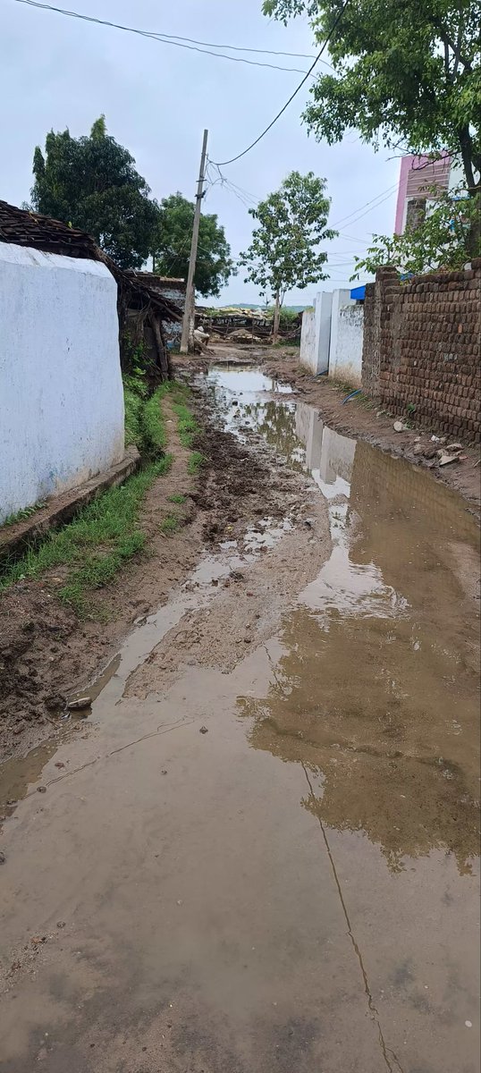 Kapilbhusare's tweet photo. हंडिया तहसील के बिछौला गांव के पुराने मंदिर के मोहल्ले के रास्ते में बहुत दिनों से पानी भरा होने से मोहल्ले के लोग परेशान ग्राम जनप्रतिनिधी नहीं सुन रहे। @collectorharda @CMMadhyaPradesh @officekamal @RkDogneMlaHarda https://t.co/7uUa8PN2wc