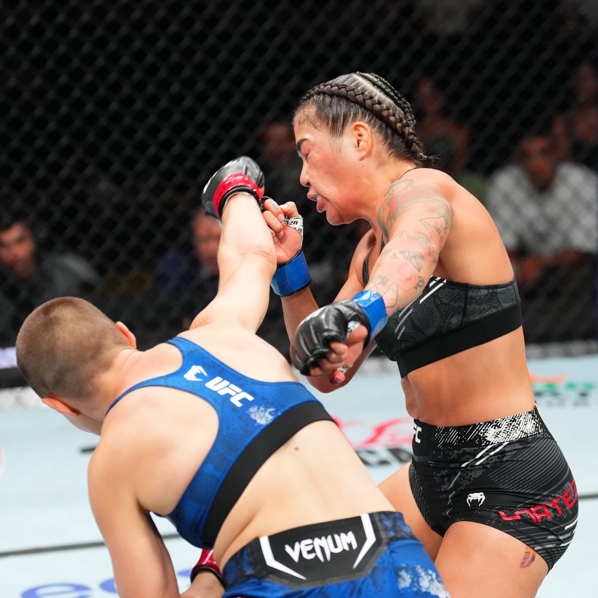 ufc's tweet photo. We're down to the final FIVE minutes 😤

#UFCDenver https://t.co/Brb3bZmWvD