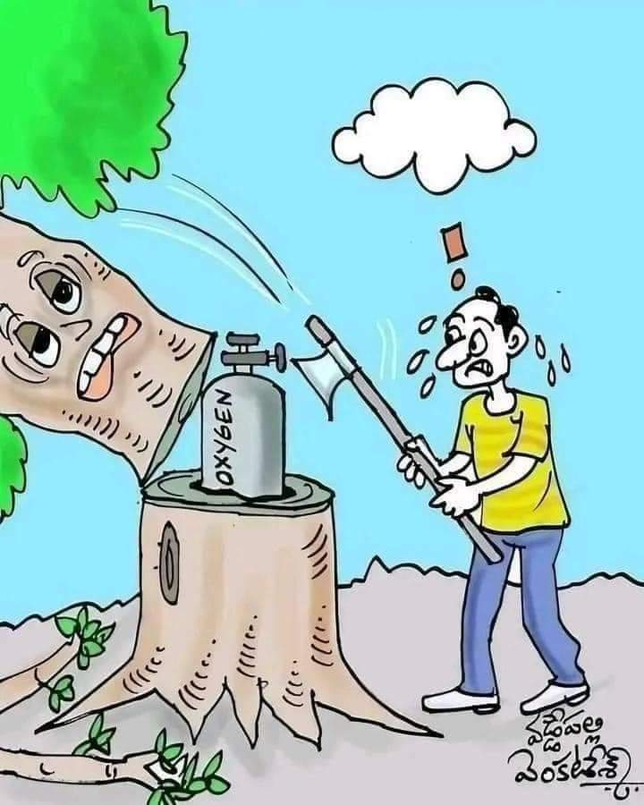 Kaseseyout7741's tweet photo. When you cut trees 🌳 you are cutting your own oxygen. ☹️ Let's save our planet and breathe life back into our world. https://t.co/yomjUcJRey