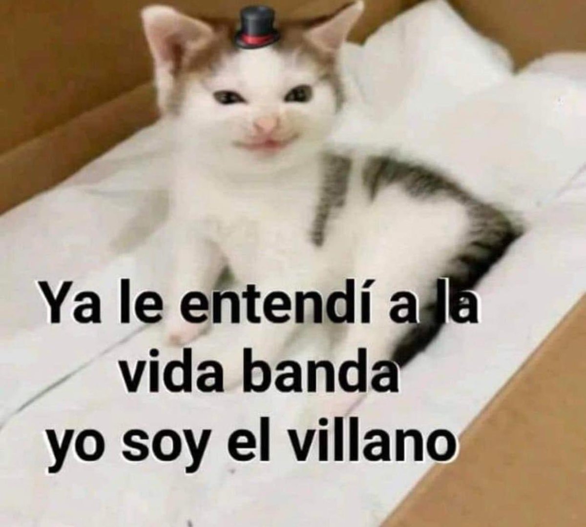 ElJeringasLoko's tweet photo. si https://t.co/BCjFRbusiX