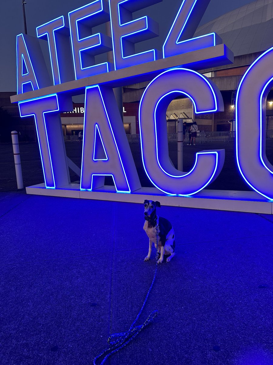 lifegoeshan's tweet photo. WTS ATEEZ World Tour Tacoma Dome tickets x2! 

sec 120, row W 

$300 for both but will negotiate! 

✨can dm for more proof! Also for sale on stubhub if you’d prefer to buy there. 

Can transfer in person tomorrow as well! 

🏷️ atiny towards the light will to power https://t.co/KbpZu1eqcI