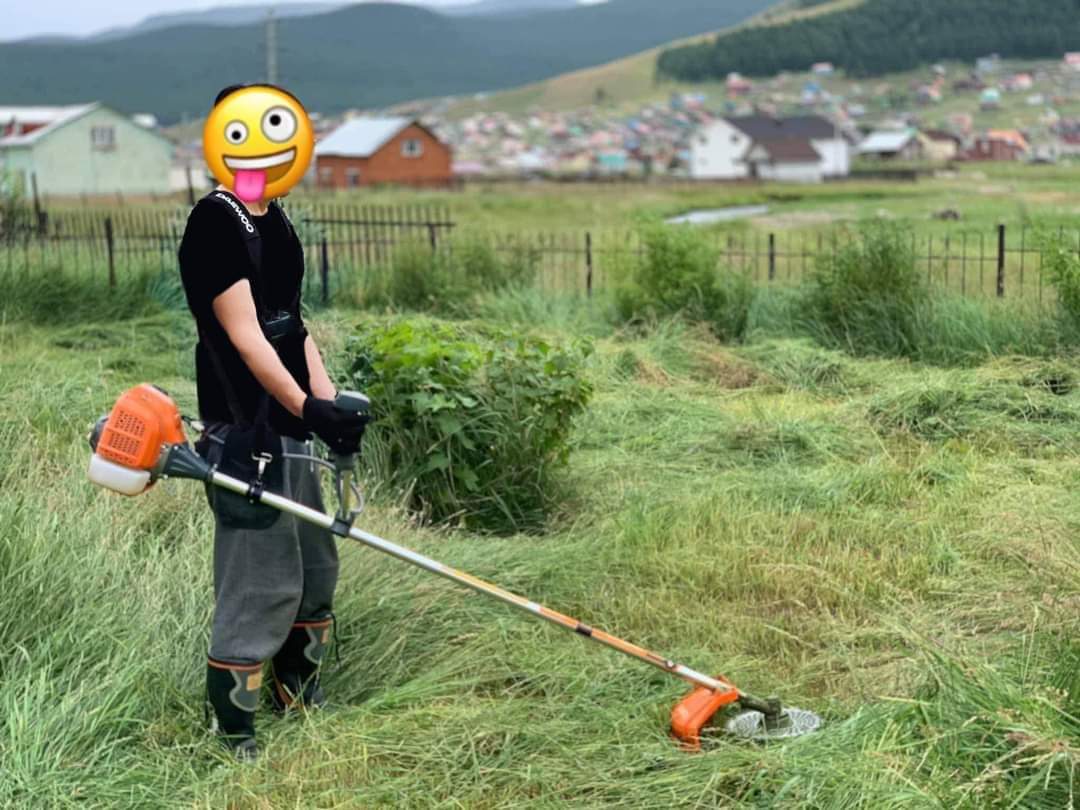 Хашааныхаа өвсийг хадаж байтал хөрш айлын залуу цонхоороо шагайгаад "Тань шиг шөнийн 2 цагт цахилгаан хадуур ажиллуулаад өвс хадаж байдаг хүнийг анх удаа харж байна" гэв. Угаасаа таарах бүртээ л хүнд урам өгч, магтаж байдаг сайн залуу юм байгаам. 

Би ч урам ороод үргэлжлүүлээд