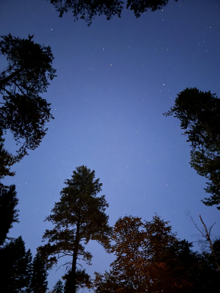 AndiUlmer's tweet photo. @ISS_Research sitting in Montana and having a fire. We just saw you fly by overhead ( thanks to Skyview) https://t.co/BtT1pRlfsE