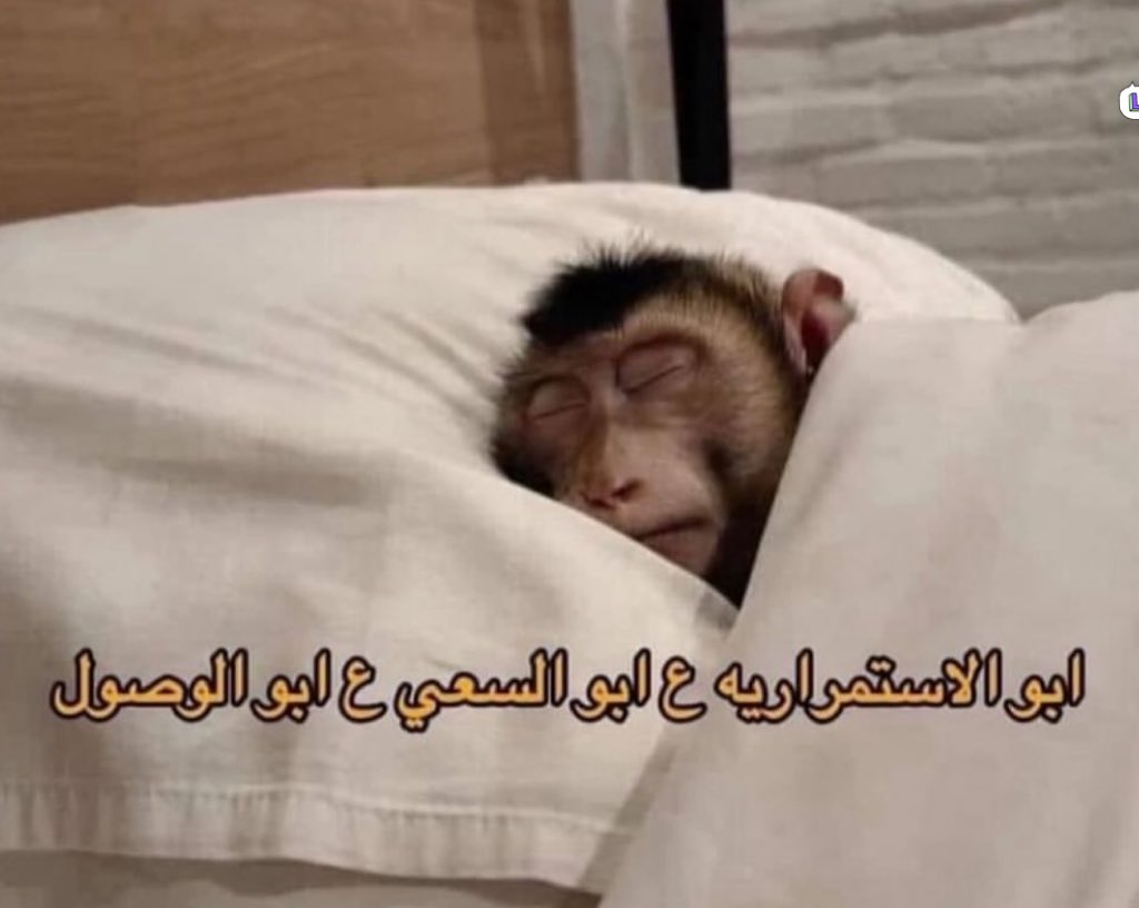 Egyptianmemees's tweet photo. لما المنبة يرن الصبح https://t.co/n8ovQmiqzG