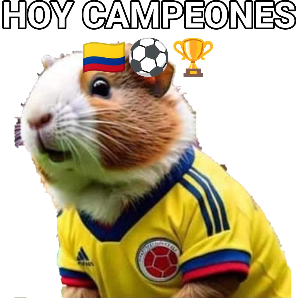 leopardoc2010's tweet image. Hoy 14 de Julio 🇨🇴🇨🇴🇨🇴🐹🐹🐹youtube.com/shorts/OvVlSaC…