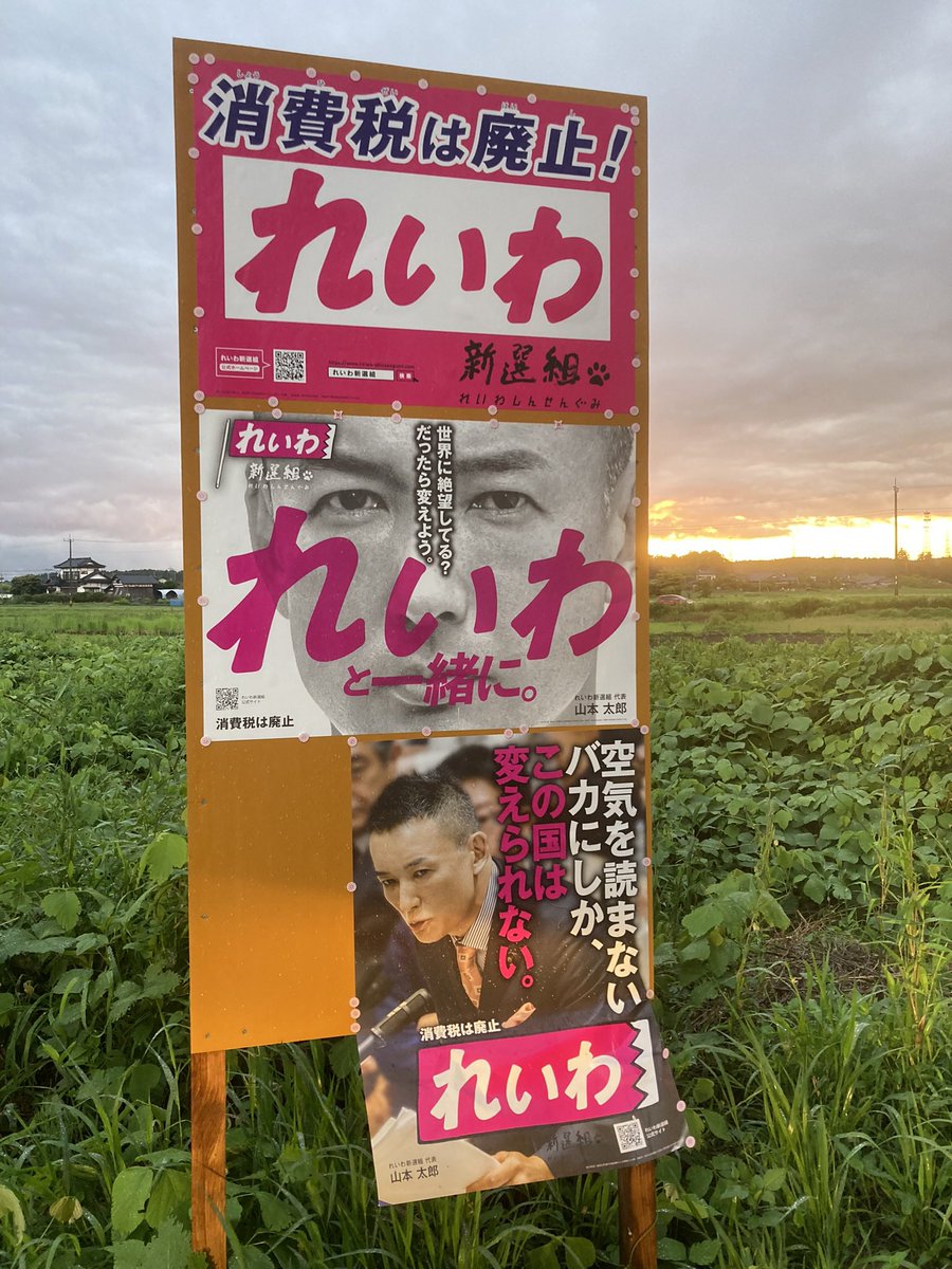 luckcatrock's tweet photo. @Nawatetodaitora 『れいわ農園　那珂市』ってのをれいわサポーターの仲間同士でやってます。“負動産”相続で50年以上も耕作放棄地だった荒地を皆んなで開墾して、無農薬栽培で野菜を作りはじめました😸有機農業を長年実践してるれいわの仲間に指導仰ぎながら、初めての収穫です😸れいわの農業政策ポスター欲しいですね！ https://t.co/U8YySJPfdf