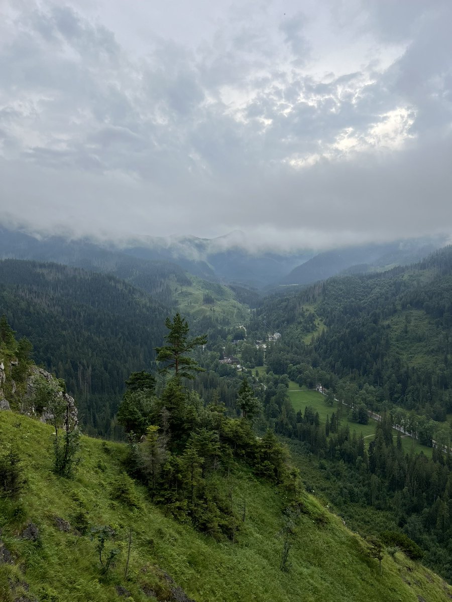 JagielloPawel's tweet photo. Niedzielne bieganie zaliczone 🏃♂️ #running #Nosal #Tatry https://t.co/OHf81qFr5O