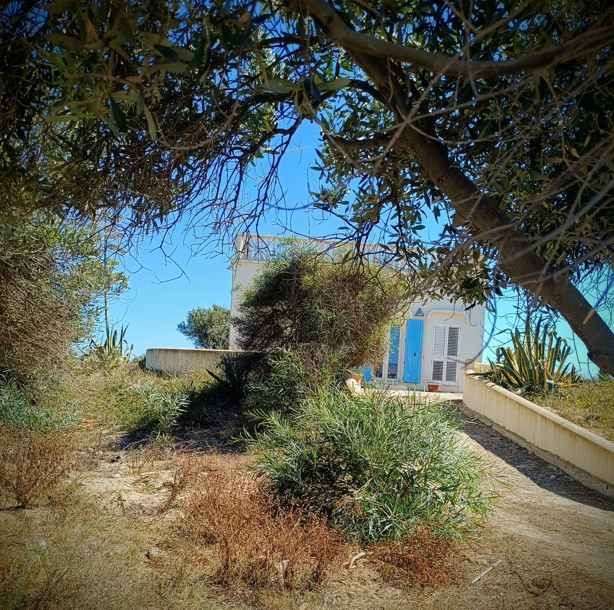 Giusepp17710443's tweet photo. San Giovanni di Sinis..tra vento e caldo infernale.. Buongiorno mondo 🙋☕👋📷😊👍
#Sardegna 
#Amazingshot https://t.co/mi1nm9w31I