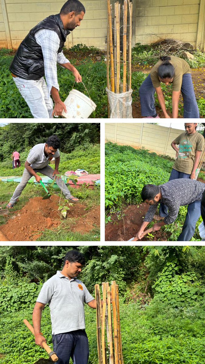 TeamMysuru's tweet photo. ಟೀಂ ಮೈಸೂರು ತಂಡದ ವತಿಯಿಂದ ಇಂದು ಕೆ. ಜಿ ಕೊಪ್ಪಲ್ ಅಂಡರ್ ಬ್ರಿಡ್ಜ್
ಮುಂಭಾಗದಲ್ಲಿ ತಂಡದಿಂದ ನೆಟ್ಟಿದ್ದ ಗಿಡಗಳಿಗೆ, ಪಾತಿ ಮಾಡಿ ಹಸುಗಳಿಂದ ರಕ್ಷಣೆಗಾಗಿ ಪರದೆಯನ್ನು ಕಟ್ಟಲಾಯಿತು.
@yaduveerwadiyar
@mepratap
@TSSrivatsa
@MysuruMithra
@Andolanadigital
#teammysuru
#greenmysuru
#saveplants
#ಟೀಂಮೈಸೂರು https://t.co/injx73QdMK