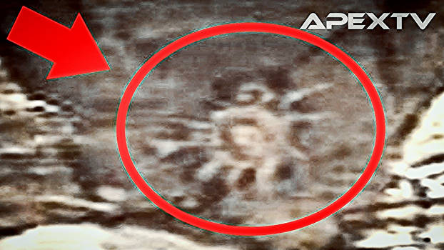 Jerry lehane iii tweet media