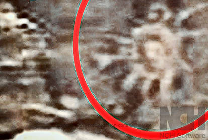 Jerry lehane iii tweet media