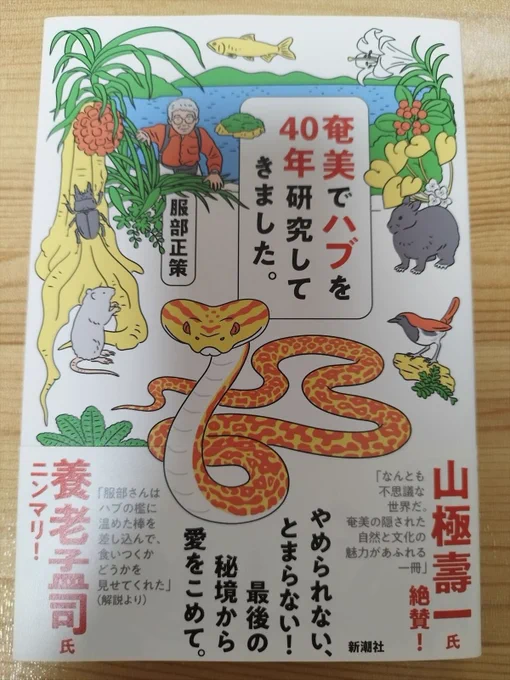 服部さんの『奄美でハブを40年研究してきました。』の表紙のハブ、最初に見たときから、以前服部さんのところにお伺いしたときに出してくれた金ハブに似ているなあと思ってたんですよ。で、その時の金ハブ写真やっと見つけた(2013年撮影) 