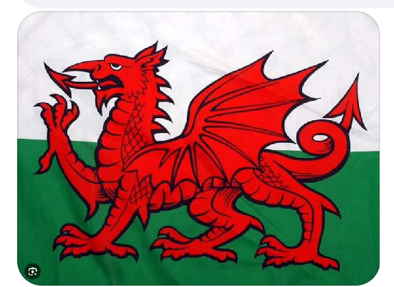 JulieBoothman21's tweet photo. Wishing  England all the very best tonight  ⚽. In 🇬🇧 it's sad the home nations don't back each other.  Yes I support Wales all the way! But  I never want another team to beat a home nation.  However, the best flag is not incorporated in the 🇬🇧 🤣.  Here it is  to send you wishes https://t.co/DM3N2lq5DN
