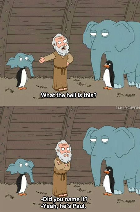 <a href="/VenomCrypto_/">VenoM</a> Time to Teleport $Paul as the only meme loved by Vitalik, he talks about Paul all the time even during the Eth conference.

$Paul is the next big thing and community is based