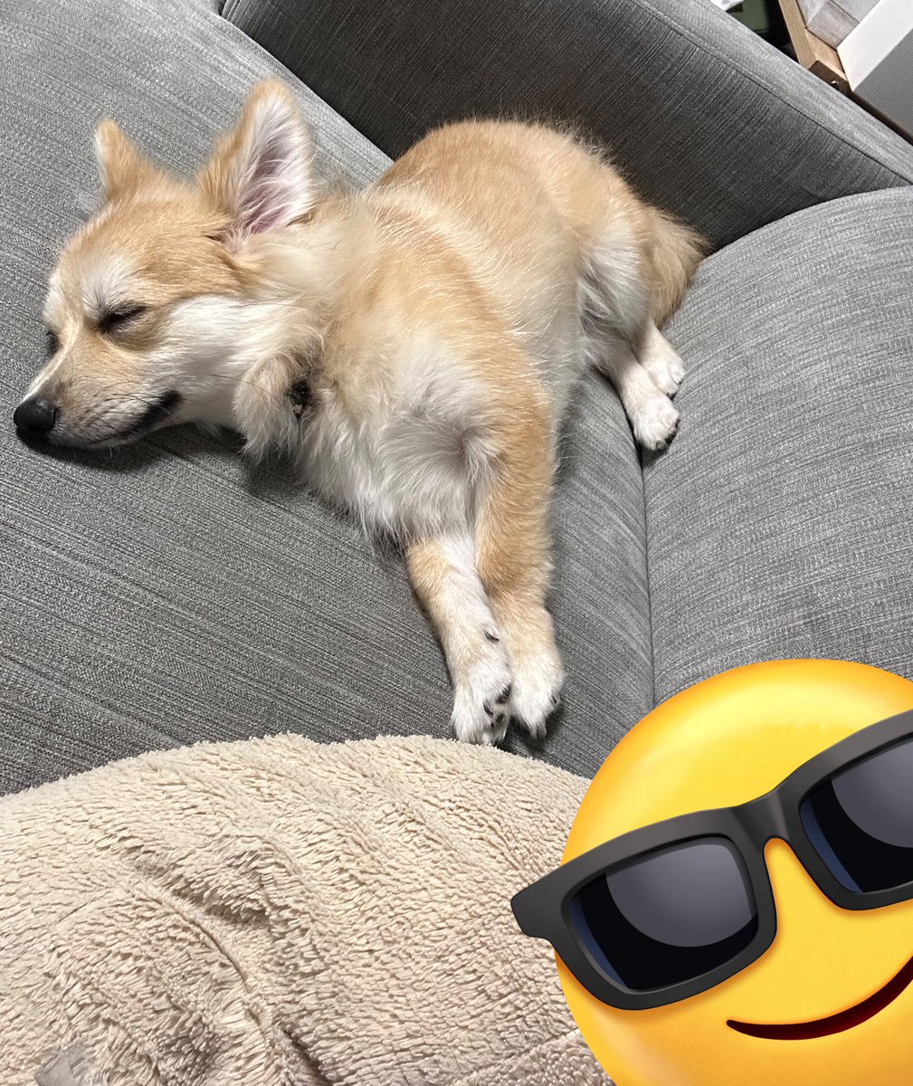 あと新しい家族お迎えしたりして🐕 ͗ ͗忙しい毎日でもあります😇😇