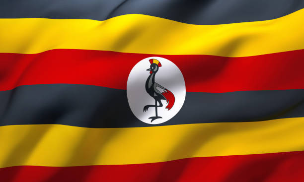 DailyMonitor's tweet photo. 🤔As a Ugandan, what do you love most about your country? 

#MonitorQuery #MonitorUpdates https://t.co/7VkFjojHHg