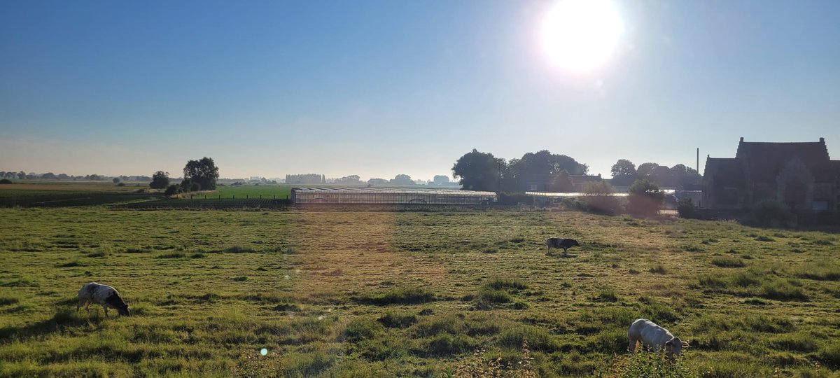 RHSHumanities's tweet photo. Beautiful morning to wake up to in Belgium. We've had breakfast, made our lunches and now heading to the Somme. @RastrickHigh #BattlefieldsRHS2024 #TheSomme #TeamHumanities https://t.co/rpiBkTX3tz