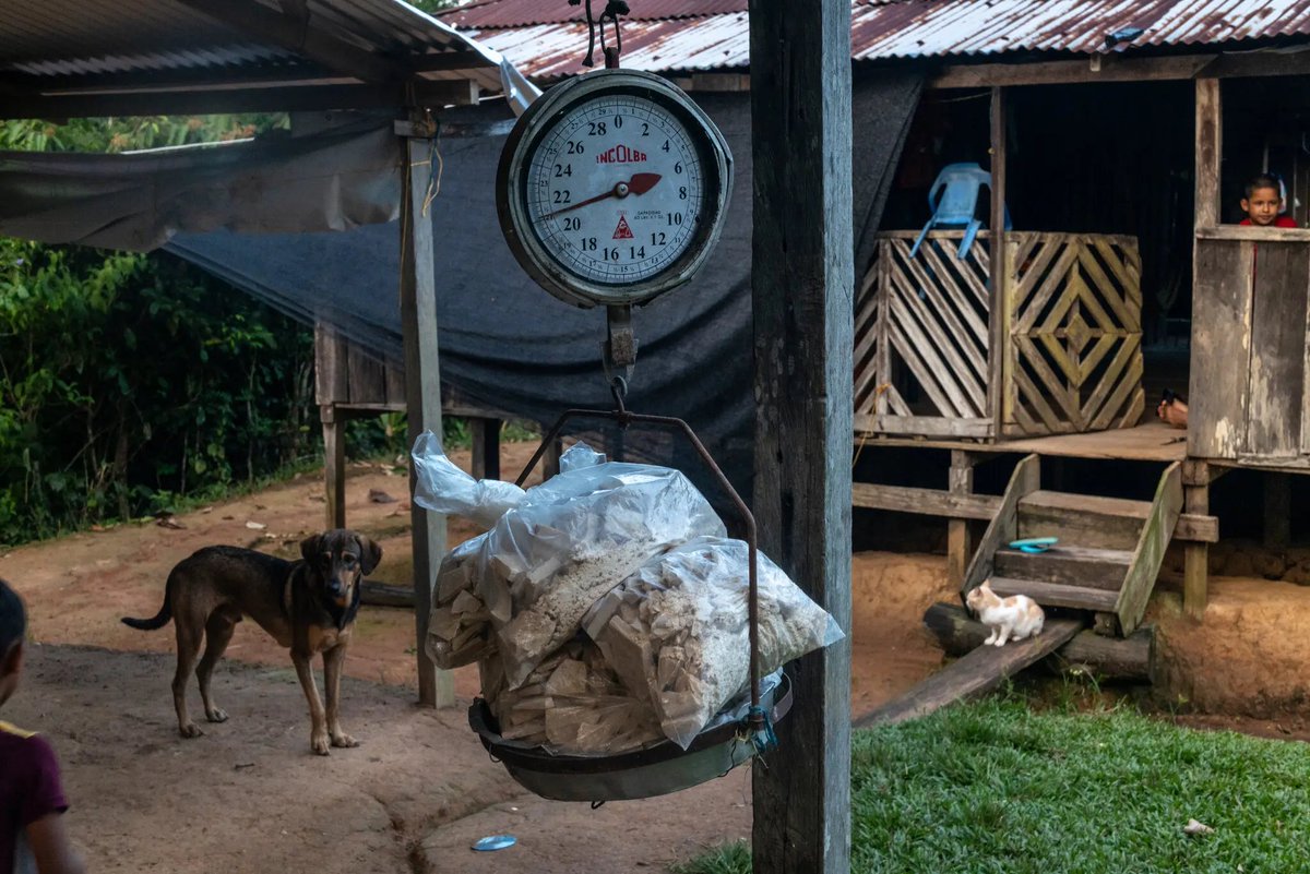 ObservadoresCo's tweet image. Se aproxima el informe de cultivos ilícitos en 🇨🇴 año 2023 por parte de la @ONU_es   @UNODC  @UNODCROCOL con sistema #SIMCI

➕ del 87% baja la erradicación de cultivos desde Agosto 2022 en 🇨🇴

➕🔎
observadorescol.org/observatorio-d…

@nytimes @thegreatglatsky @ElNuevoSiglo
📸@federicorios