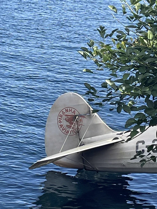 ピラニア航空