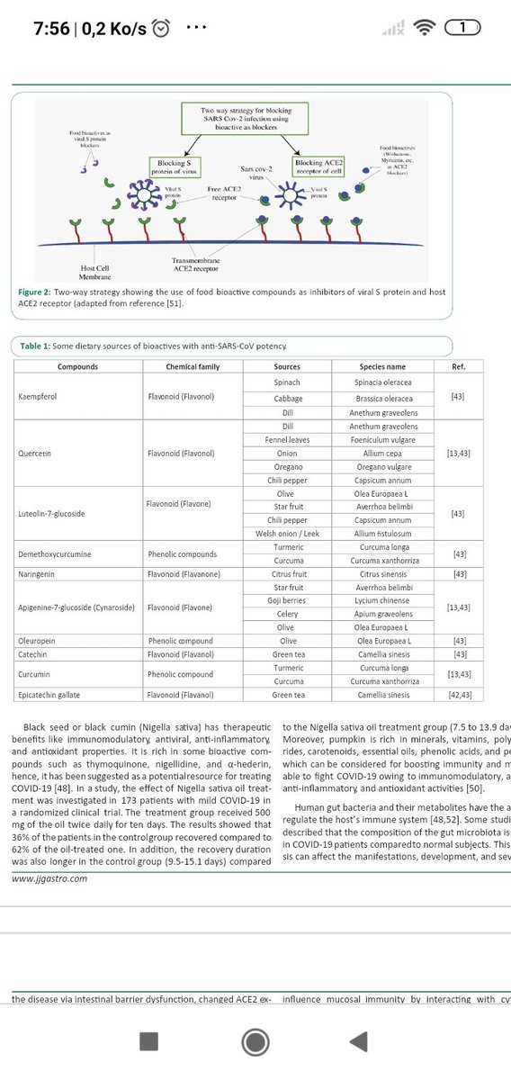 #CovidLong
Liste des antioxydants aidants ( sama, je déconseille le citron 😂😹), probiotiques.... 
<a href="/ActionCovidLong/">Association Action Covid Long</a>
<a href="/apresj20/">ApresJ20 - Association Covid Long France</a>
<a href="/CLsolidaire/">covidlongsolidarite</a>
researchgate.net/publication/37…