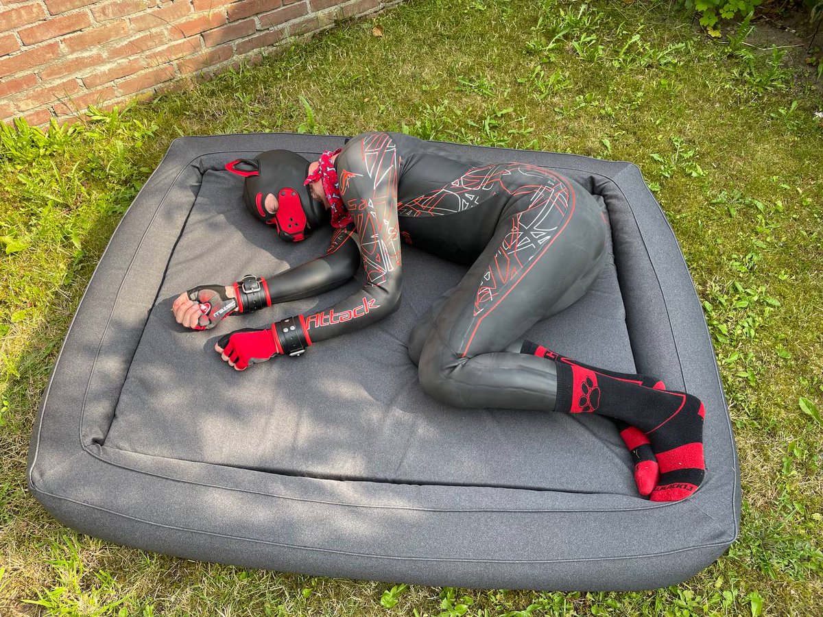 Sleepy pup..😴🐶