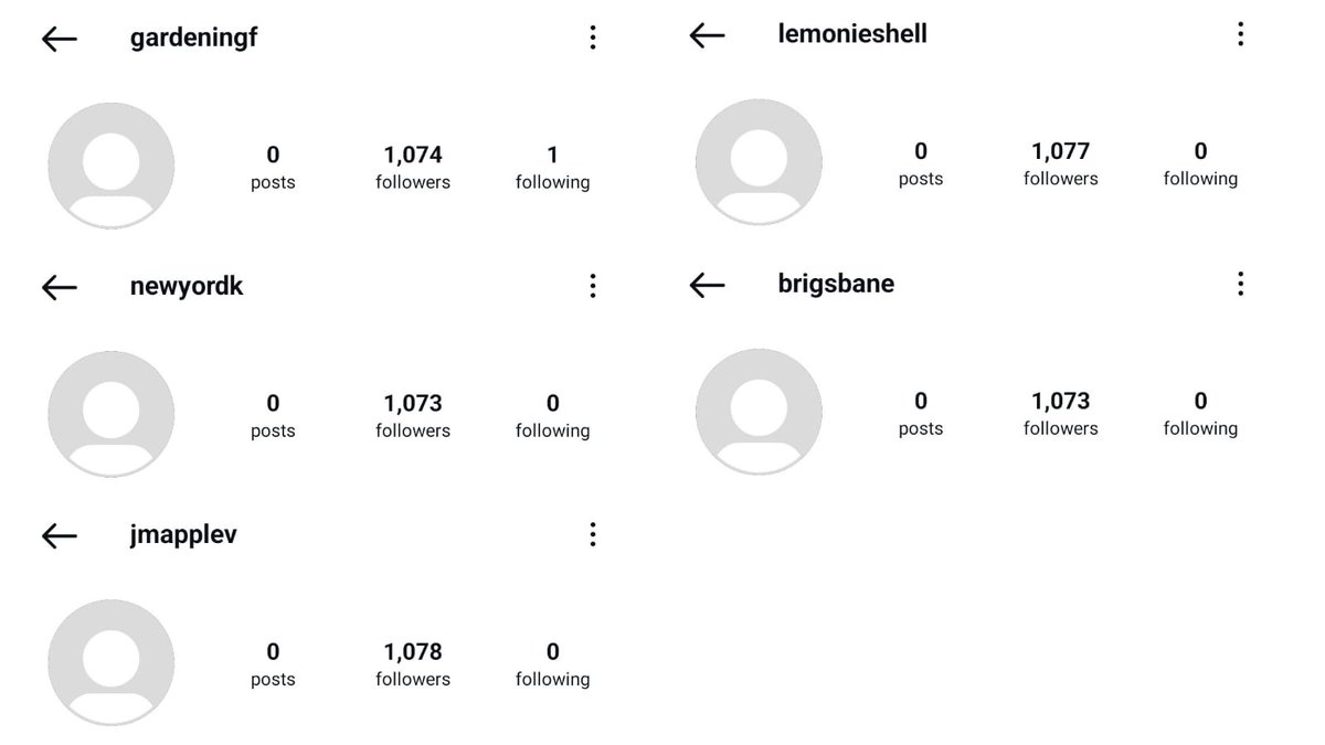 jani ☆ tweet media