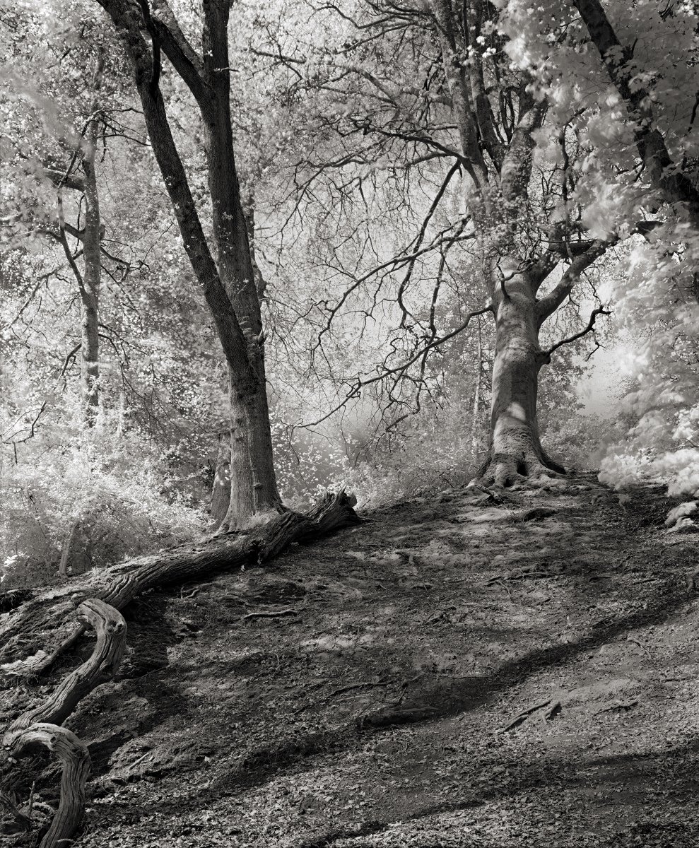 John Martin tweet media