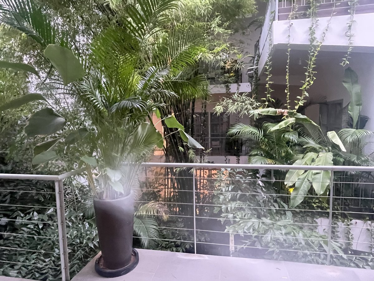 ff_tomoco's tweet image. プノンペンで泊まったホテルは最高だった
現地在住の友人がとってくれたホテル
Plantation Urban Resort &amp;amp; Spa