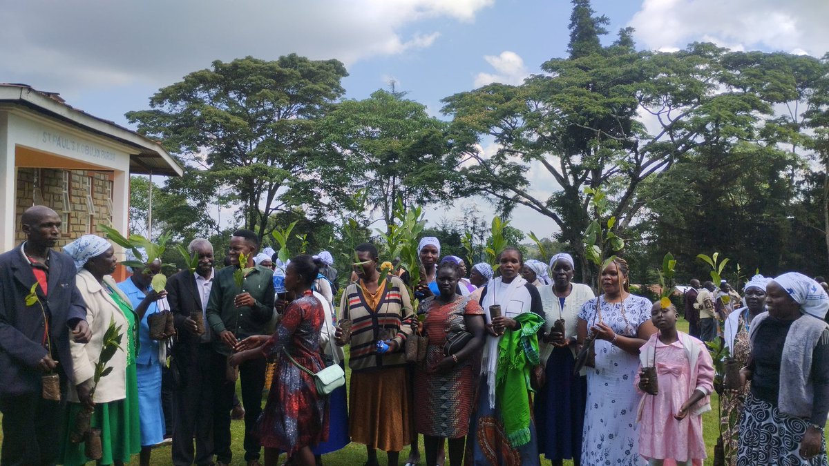 TanuiDominic7's tweet photo. Road towards setting up the African Inaugural St. Kateri Conservation Shrine at Kobujoi.
Today we celebrate the feast of St Kateri by planting 500 jack fruit seedlings. For the ecological &amp; nutitional benefits
@KobujoiCFA
@SaintKateriCtr
@LSM_Africa
@sylviawachira
@Summer_School1 https://t.co/1ec9p97Dla