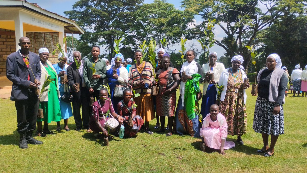 Tanui Dominic (@tanuidominic7) on Twitter photo Road towards setting up the African Inaugural St. Kateri Conservation Shrine at Kobujoi.
Today we celebrate the feast of St Kateri by planting 500 jack fruit seedlings. For the ecological & nutitional benefits
<a href="/KobujoiCFA/">KobujoiCFA</a>
<a href="/SaintKateriCtr/">Saint Kateri Conservation Center</a>
<a href="/LSM_Africa/">LAUDATO SI’ MOVEMENT - Africa</a>
<a href="/sylviawachira/">Hummingbird</a>
<a href="/Summer_School1/">Nairobi Summer School on Climate Justice</a> Road towards setting up the African Inaugural St. Kateri Conservation Shrine at Kobujoi.
Today we celebrate the feast of St Kateri by planting 500 jack fruit seedlings. For the ecological & nutitional benefits
<a href="/KobujoiCFA/">KobujoiCFA</a>
<a href="/SaintKateriCtr/">Saint Kateri Conservation Center</a>
<a href="/LSM_Africa/">LAUDATO SI’ MOVEMENT - Africa</a>
<a href="/sylviawachira/">Hummingbird</a>
<a href="/Summer_School1/">Nairobi Summer School on Climate Justice</a>