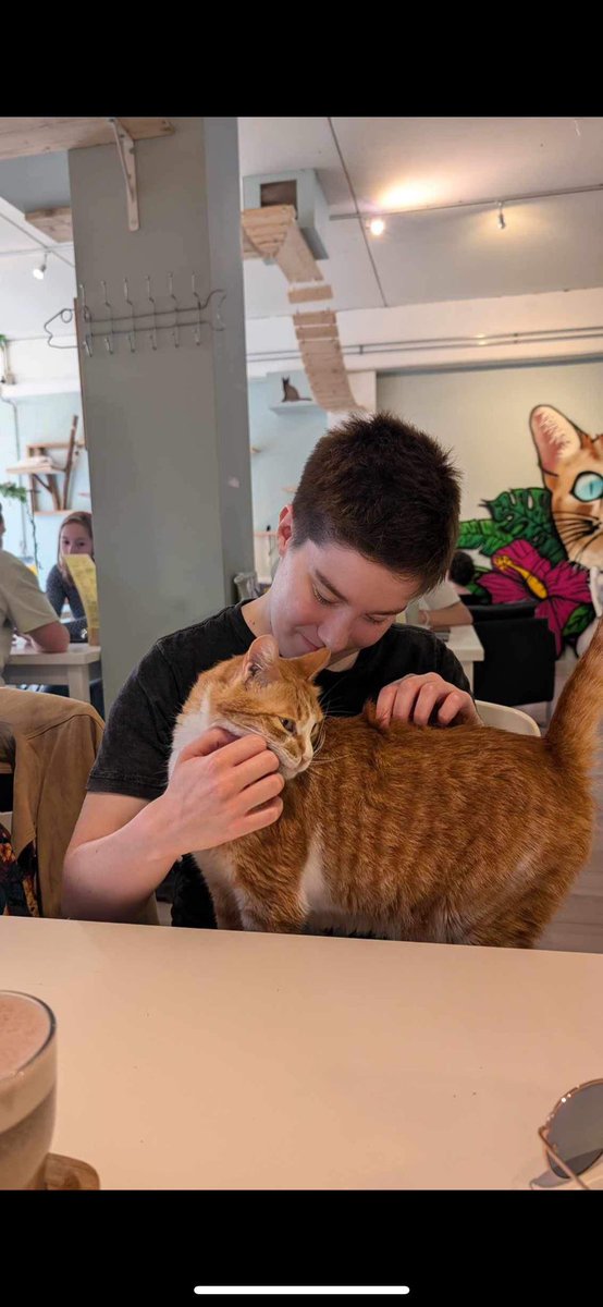 I have discovered that I officially love cats.