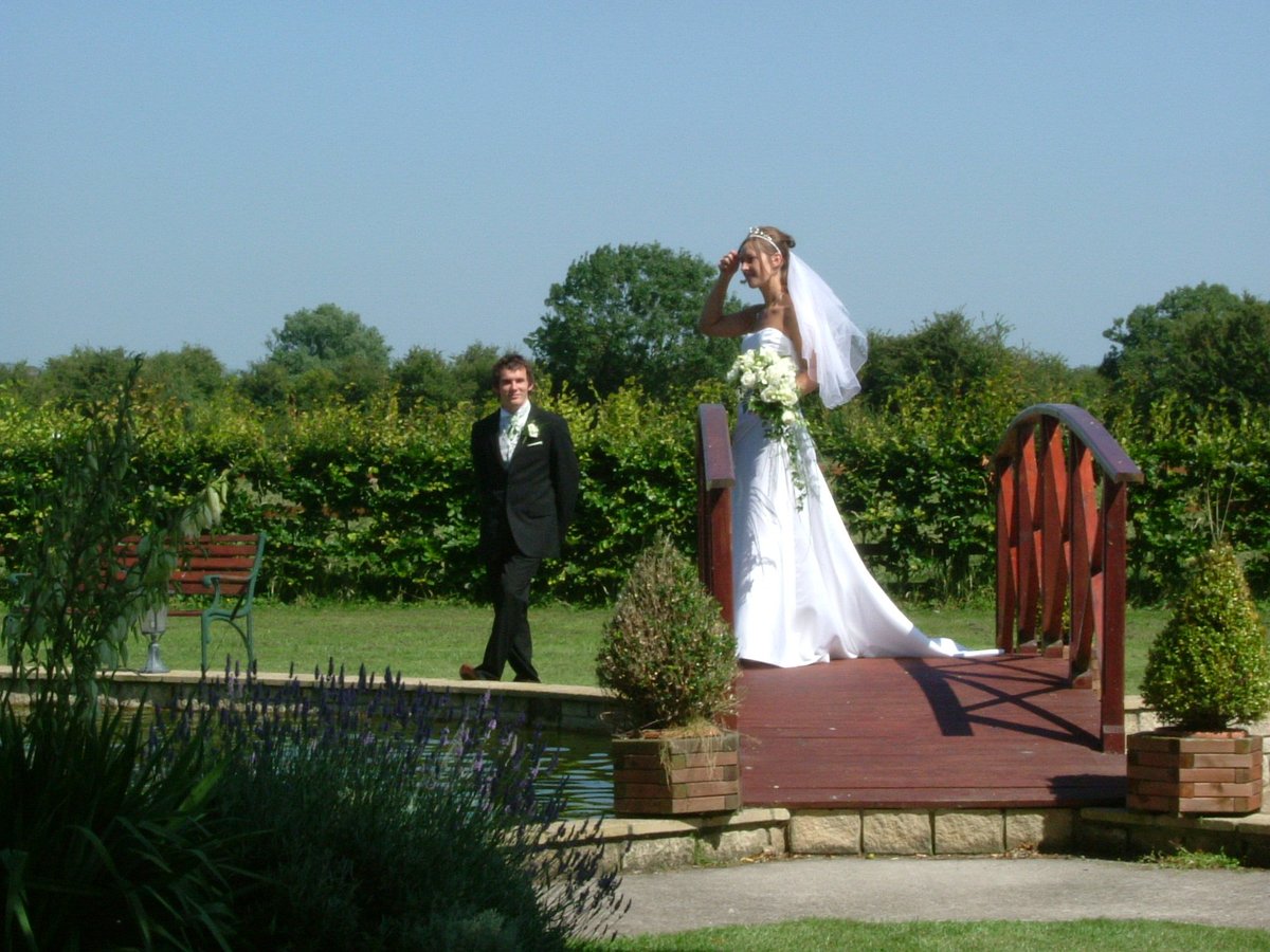 Dan Jones tweet media