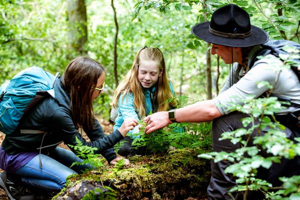 EderDampfradio's tweet image. Sommerferien im Nationalpark erleben: Kinder und Jugendliche erwartet buntes Abenteuerprogramm
Bad Wildungen(pm). Für die Erlebnis- und Ferienforschertage im Nationalpark Kellerwald-Edersee sind noch Plätze frei. #Ferienprogramm #Nationalpark
eder-dampfradio.de/2024/07/14/som…