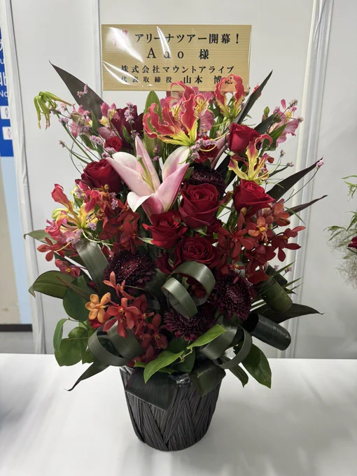 Ado JAPAN TOUR 2024「モナ・リザの横顔」の初日は大阪です。ありがとうございます。3/4 