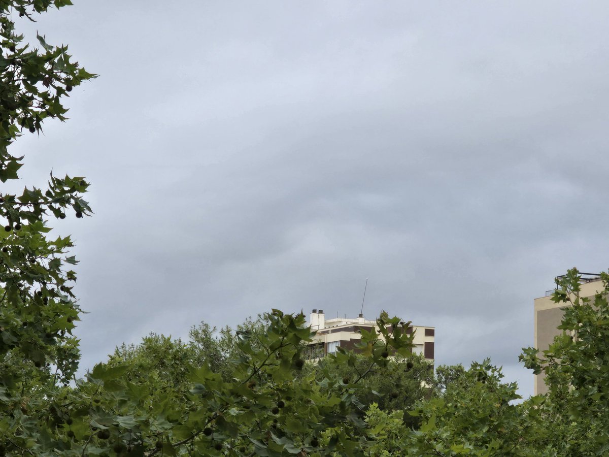 gramareus's tweet photo. Cel completament tapat...🌫24°C, humitat del 76%
#reus #sky #celgris #clouds
@1967fct @StormHour @JRovireta @ecazatormentas @SeguimlaMeteo @efojea1 @SomosMeteo @Alex_MeteoM https://t.co/lJJ7riRPBA
