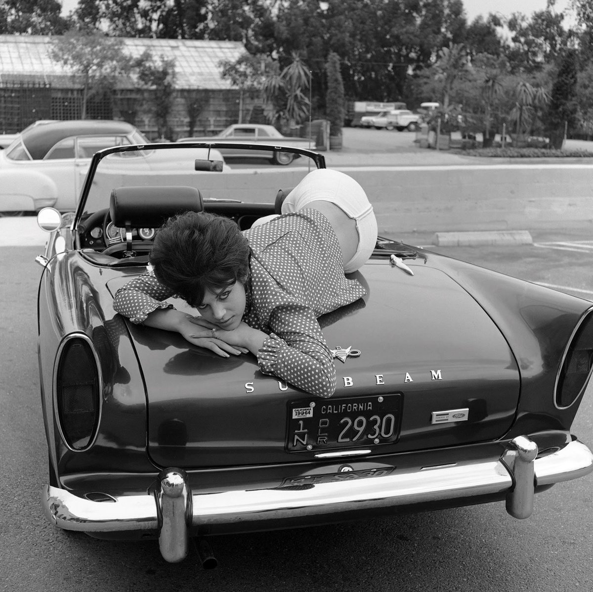 Superstar_Cars's tweet photo. #SunbeamSunday anyone? Here’s Ken Miles’ iconic Sunbeam Alpine, complete with 260 Ford V8, the first of three ‘Tigers’ that he and Carroll Shelby built for the Rootes Group.

📷 Valerie Samuels outside Carroll Shelby’s Venice workshop (Allen R. Kuhn, 1964).

#SunbeamTiger https://t.co/JTRHmh9FrY