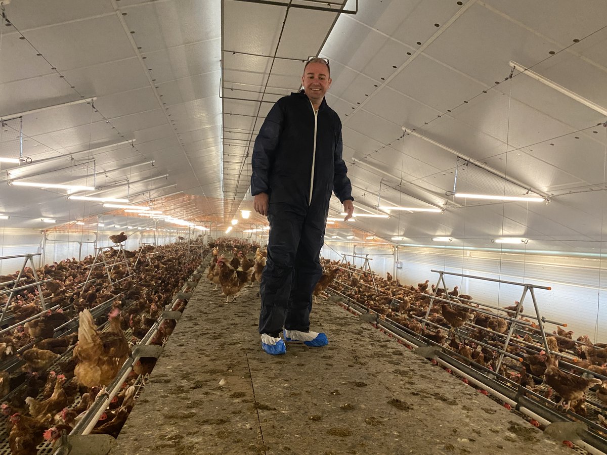 Potters Poultry tweet media